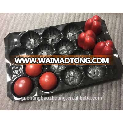 Popular Wholesale Canada Mexico USA Market 15LB Different Count PP Plastic Tomato Tray